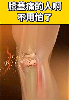 1754442105265650.gif 060f520fc9cd203bf90a14593c149040.gif